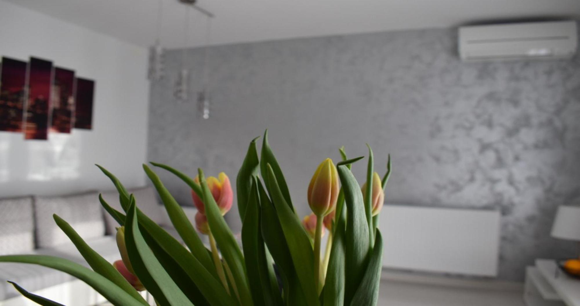 Apartmani Foresta Kras Eksteriør bilde